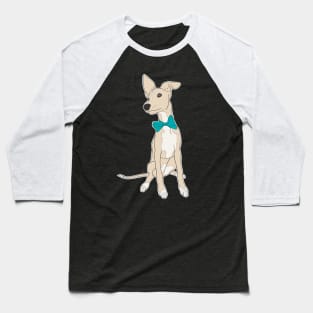 Cute fawn Italian Greyhound with bright teal bow Baseball T-Shirt